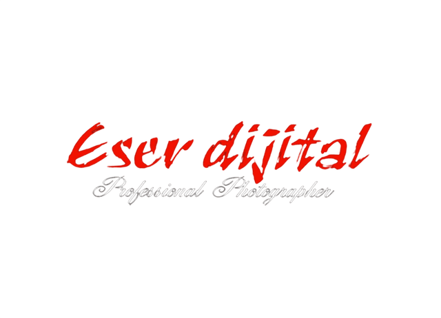 Eser Dijital