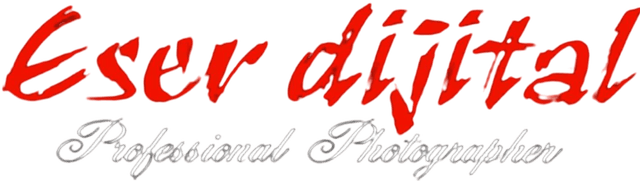 Eser Dijital