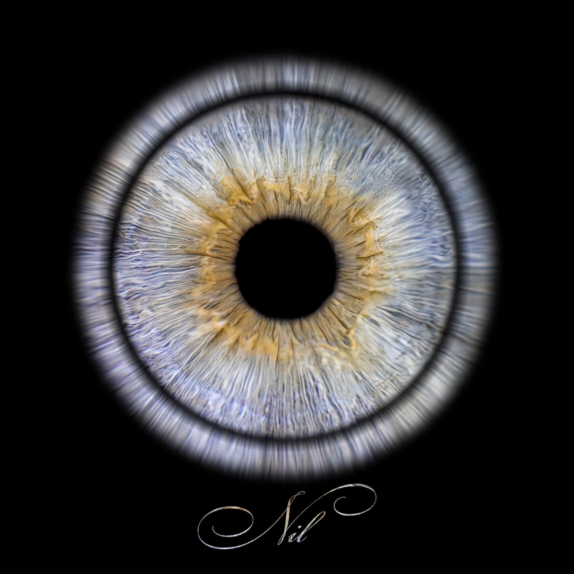 Iris photography macro shot - eye iris detail art piece
