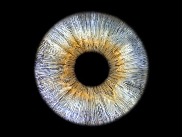 Individual Iris Session